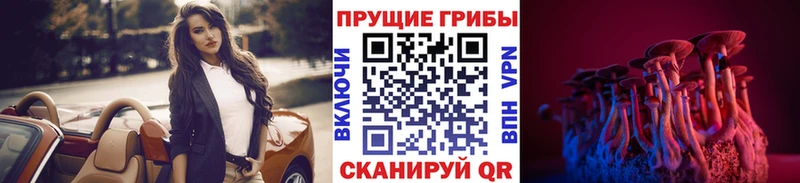 что такое   Дагестанские Огни  Галлюциногенные грибы мицелий 