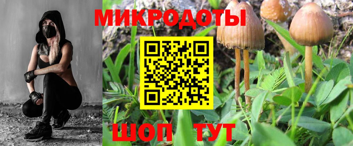 Галлюциногенные грибы прущие грибы  Вход с VPN  Дагестанские Огни 